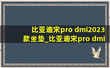 比亚迪宋pro dmi2023款坐垫_比亚迪宋pro dmi2023买哪种功率充电桩